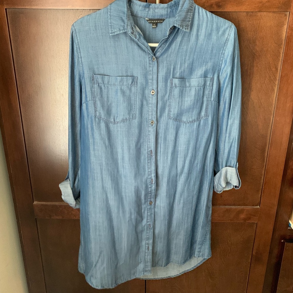 Chambray Dress